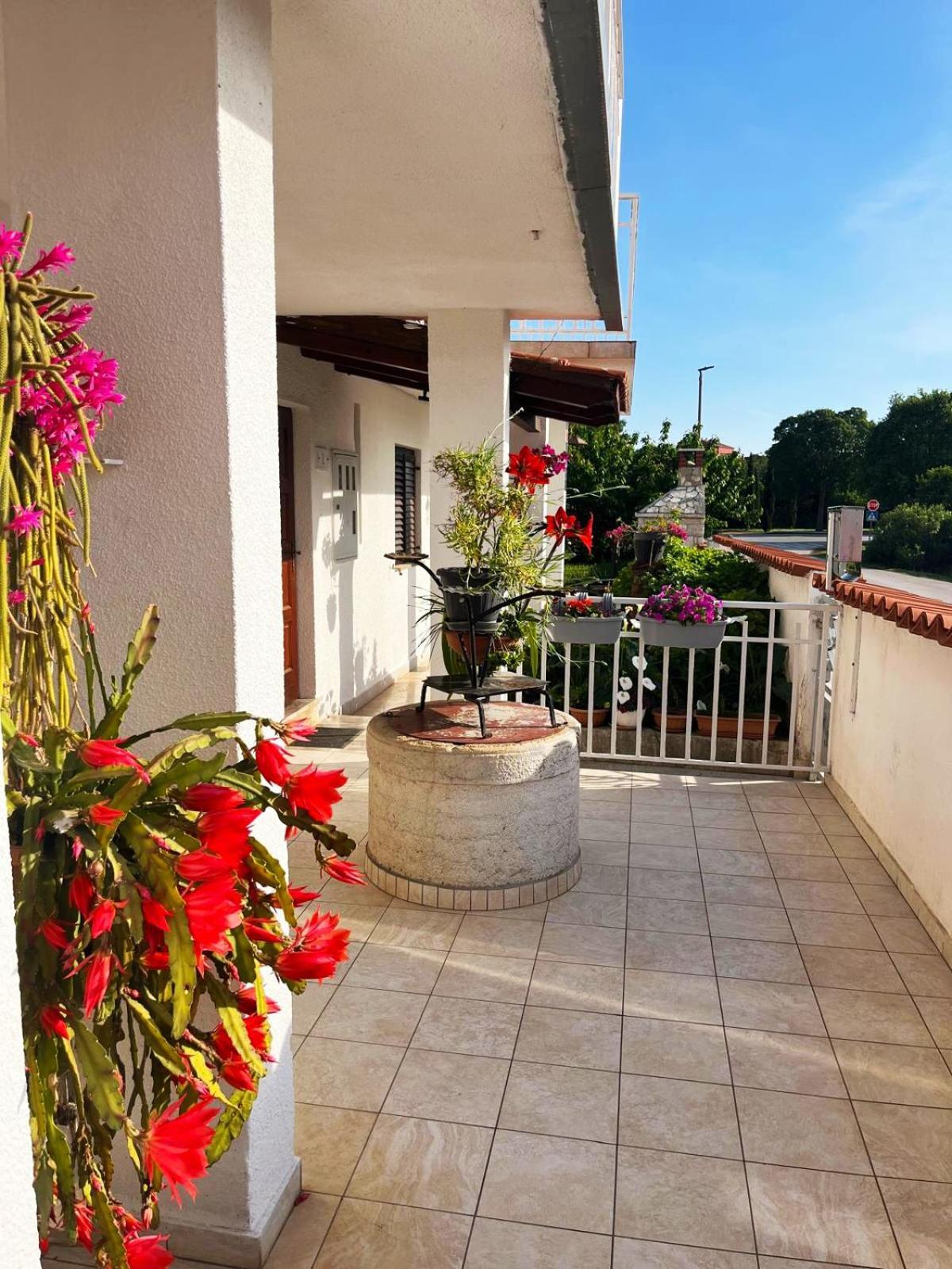 Apartments Ljubica Rovinj Exterior photo