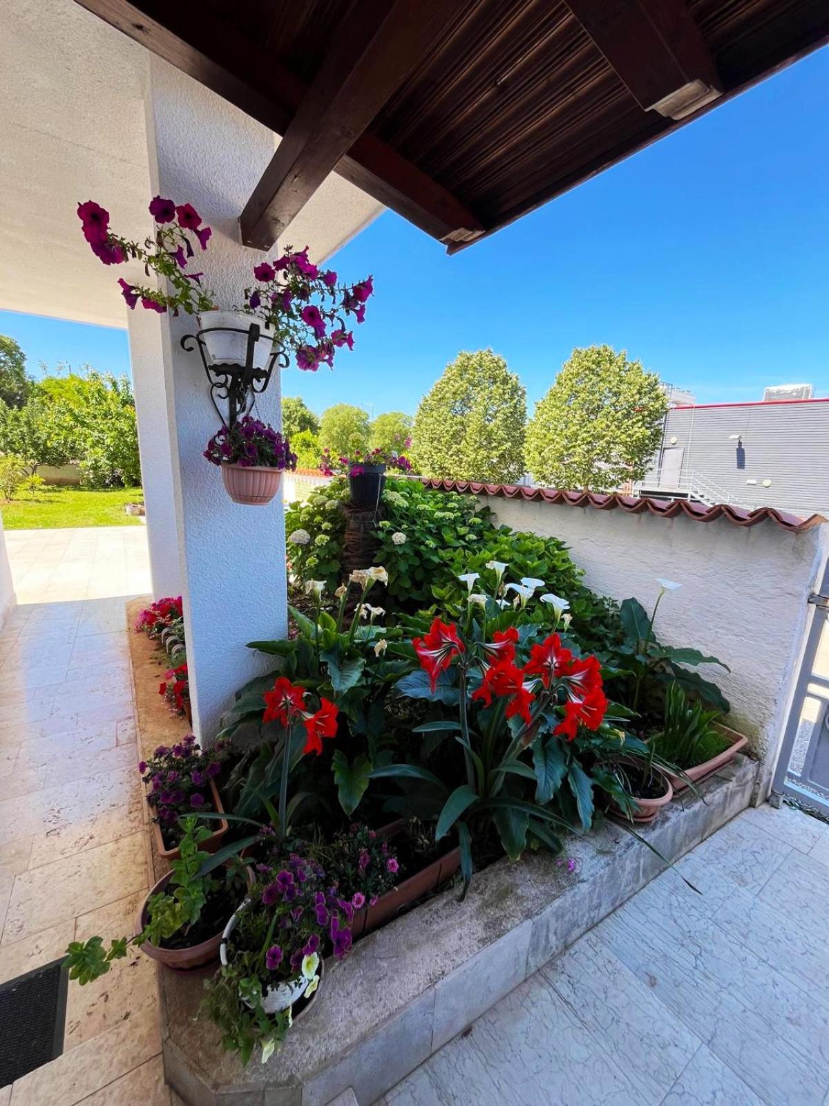 Apartments Ljubica Rovinj Exterior photo