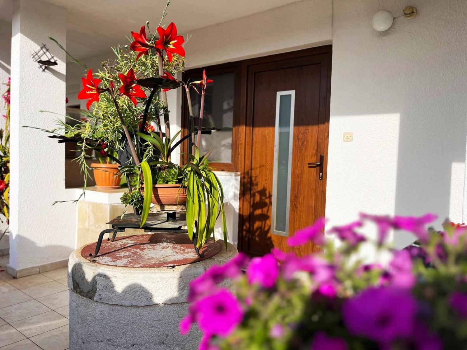 Apartments Ljubica Rovinj Exterior photo
